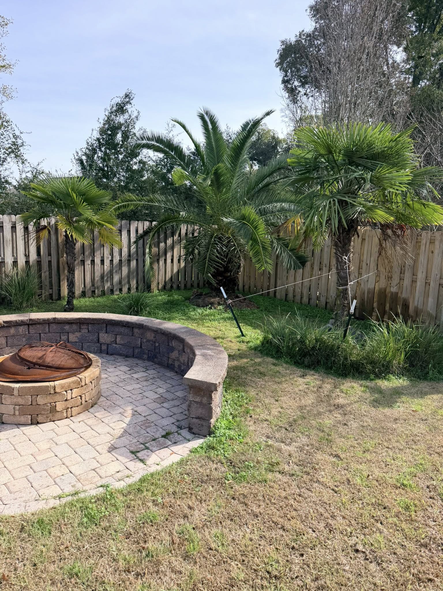 Backyard patio with a circular brick fire pit surrounded by palm trees