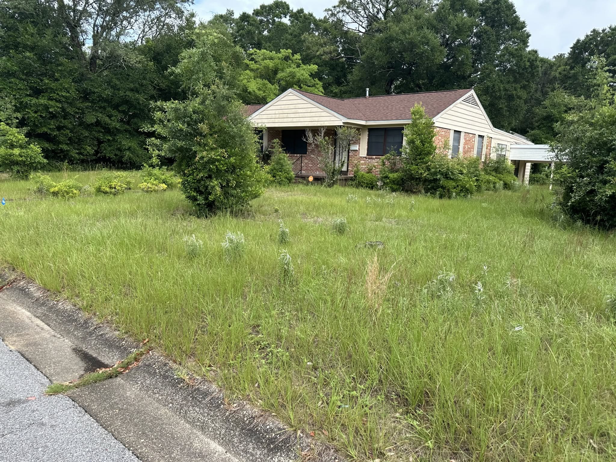 Ranch home with overgrown grass and brush before landscaping